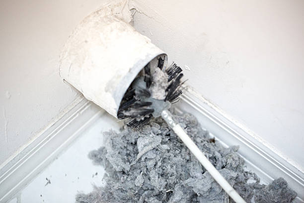 Best Affordable Duct Cleaning Services  in Little Canada, MN